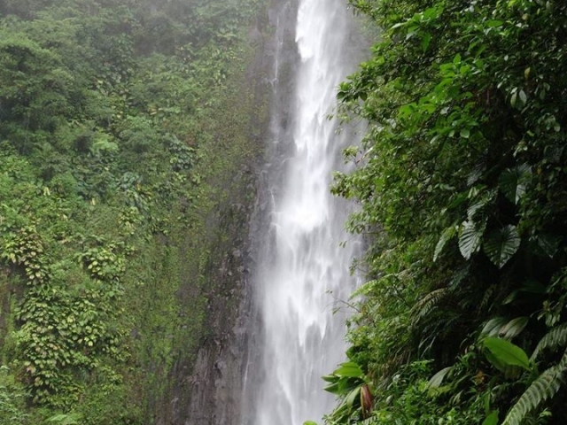 Les chutes du Carbet 