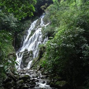 47010857_1858058744247212_8603963991003234304_n