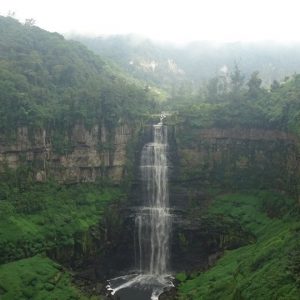 48362744_1881323598587393_5588286063127822336_n