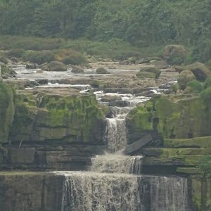 48418544_1881323761920710_3511230107731623936_n