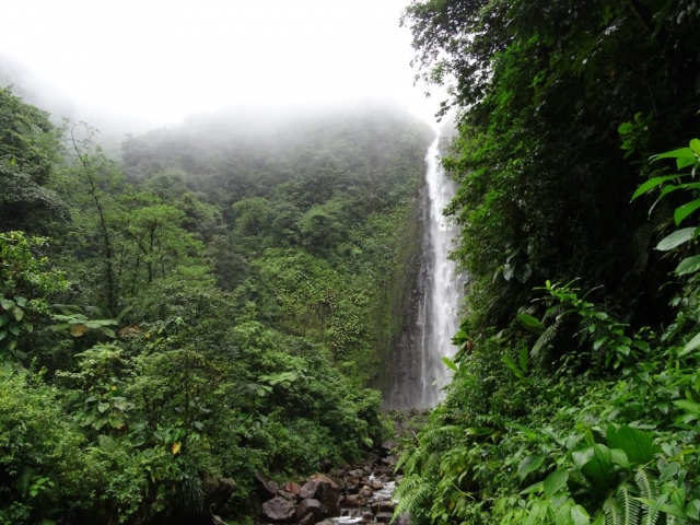 Les chutes du Carbet 