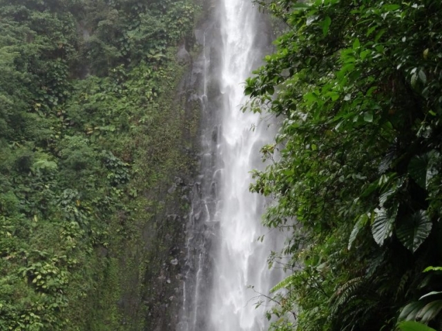 Les chutes du Carbet 