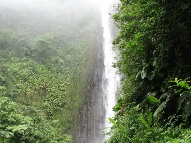 Les chutes du Carbet 