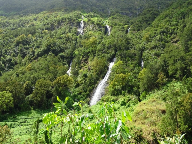 Le voile de la Mariée