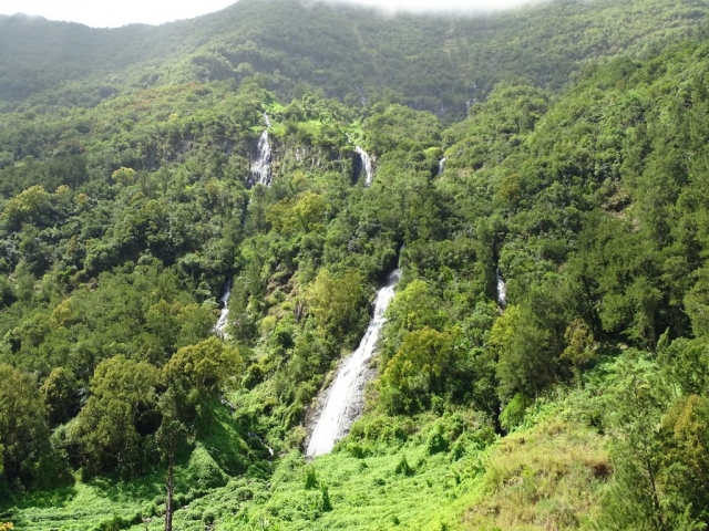 Le voile de la Mariée