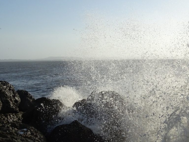 Village de Bocas de Ceniza