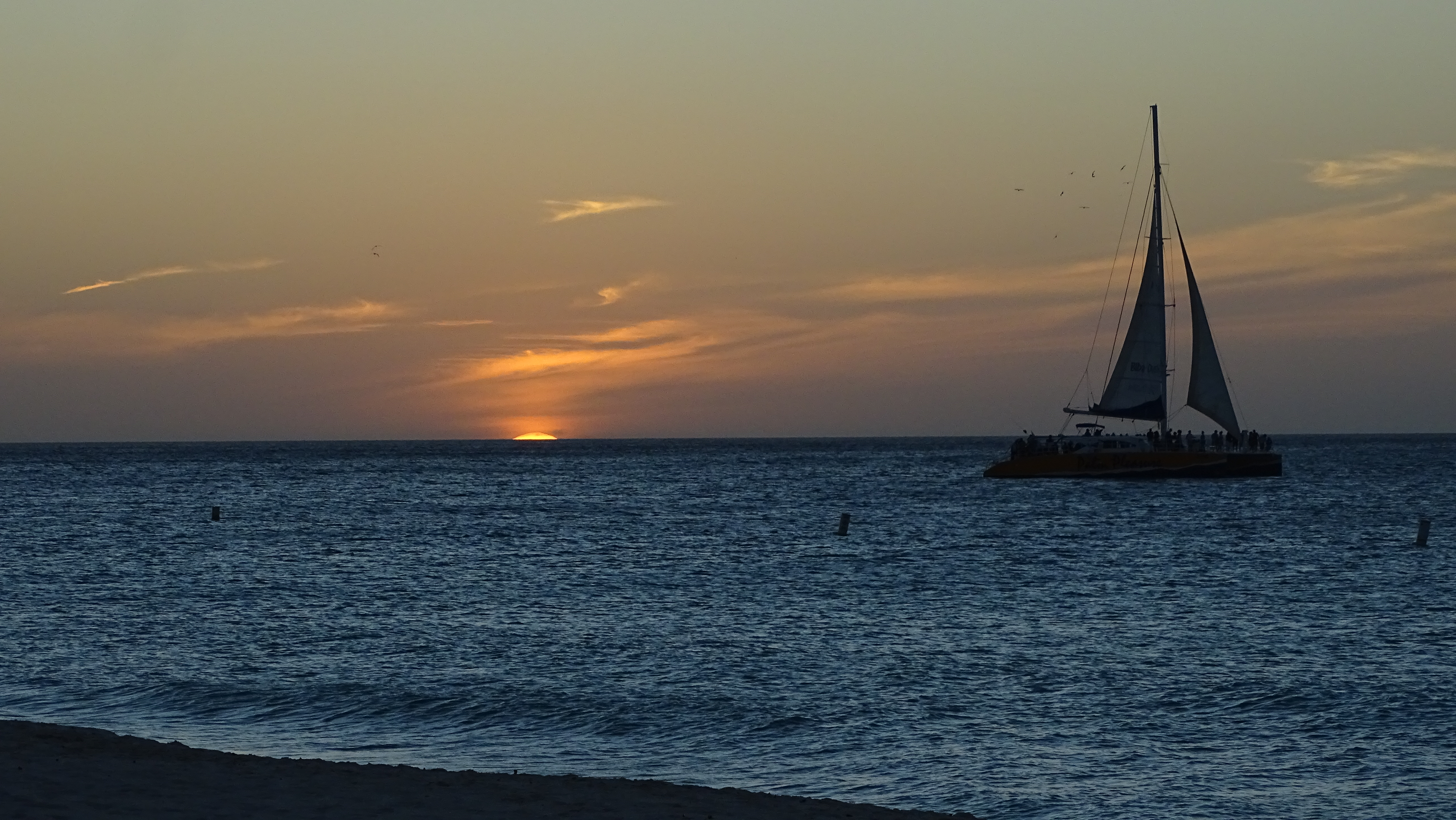 You are currently viewing Aruba