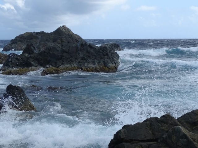 Côte Nord d'Aruba Natural Pool