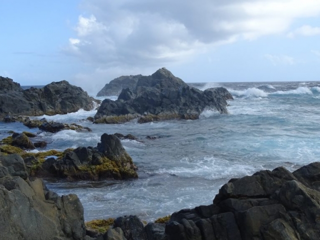 Côte Nord d'Aruba Natural Pool