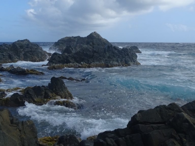 Côte Nord d'Aruba Natural Pool