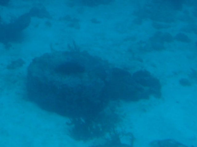 Les fonds marin de la baie