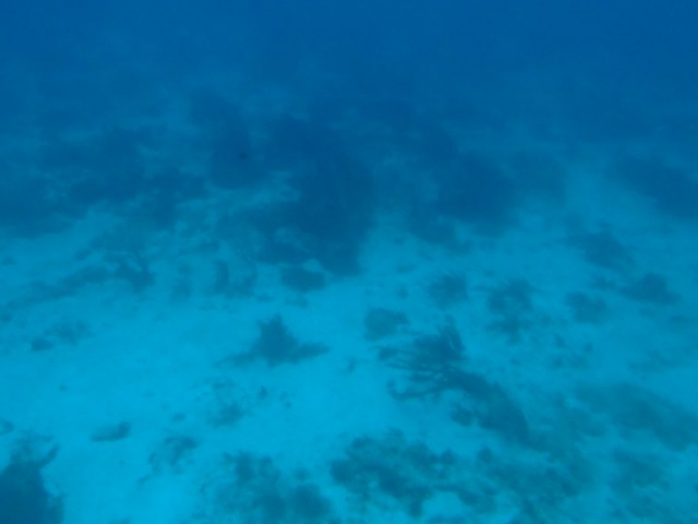 Les fonds marin de la baie