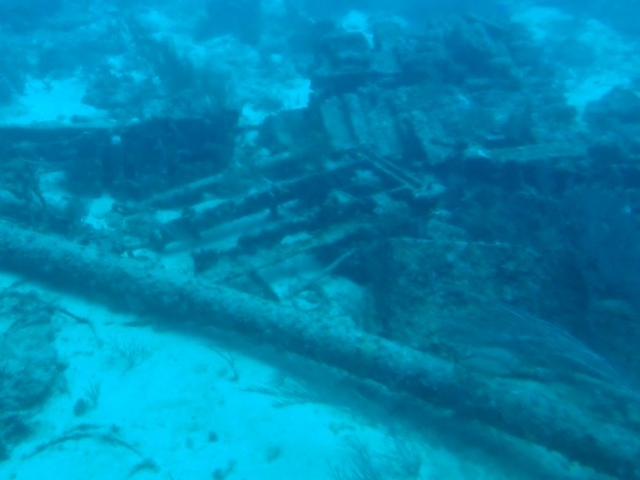 Les fonds marin de la baie
