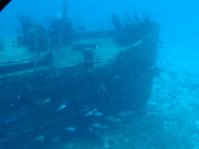 Les fonds marin de la baie