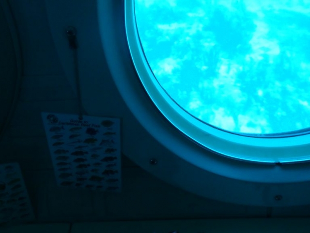 Les fonds marin de la baie