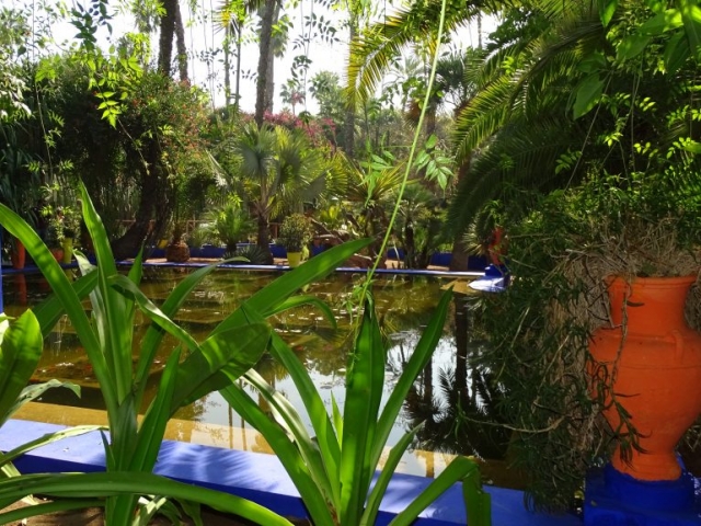 Jardin de Majorelle