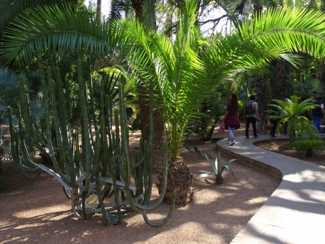 Jardin de Majorelle