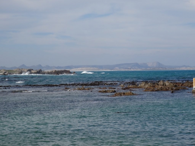 sanctuaire pour pingouins