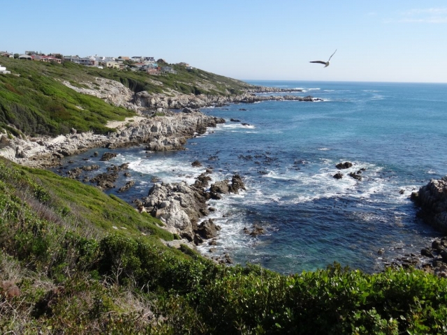 sanctuaire pour pingouins