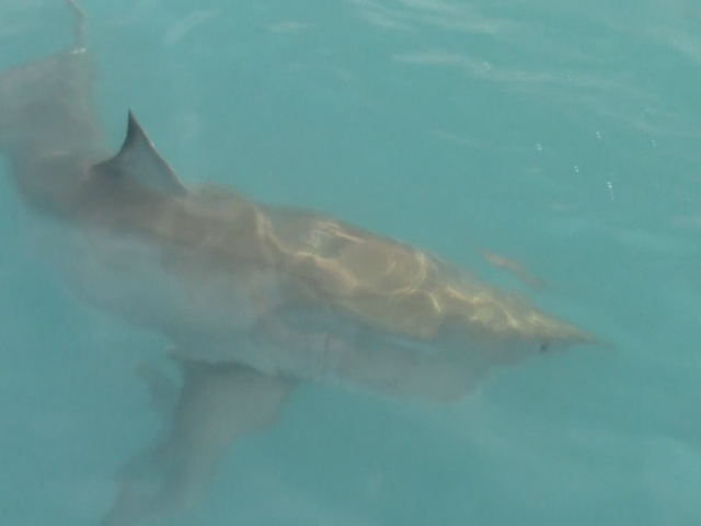 Capture d’écran 2019-07-01 à 22.51.01