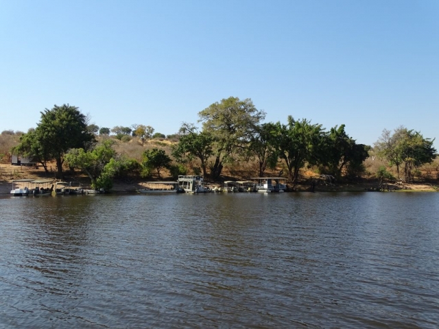 Parc Chobe Nord