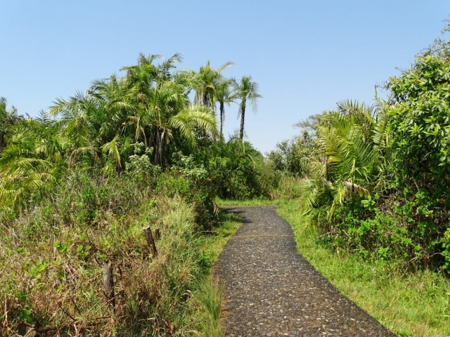 Chemin balisé Parc Victoria Falls Zimbabwe