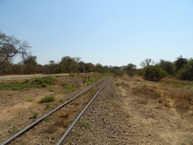 Train Zimbabwe