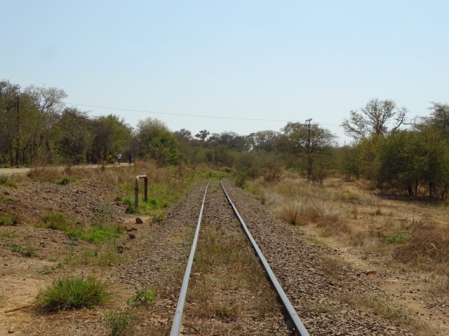 Train Zimbabwe