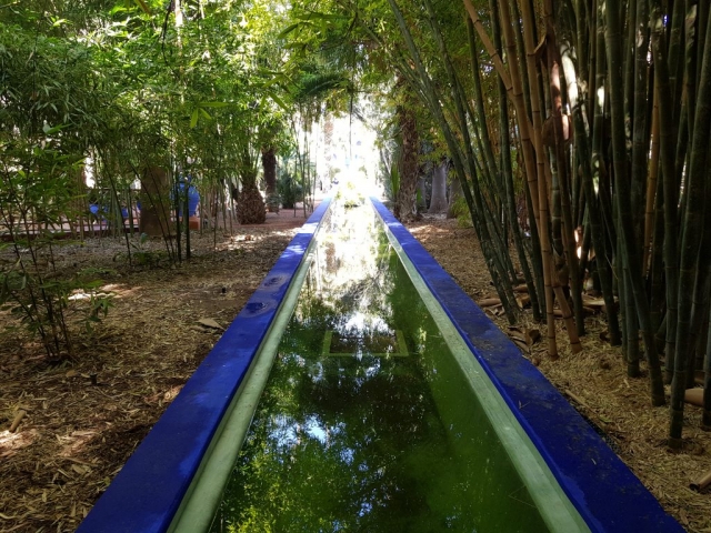 Jardin de Majorelle