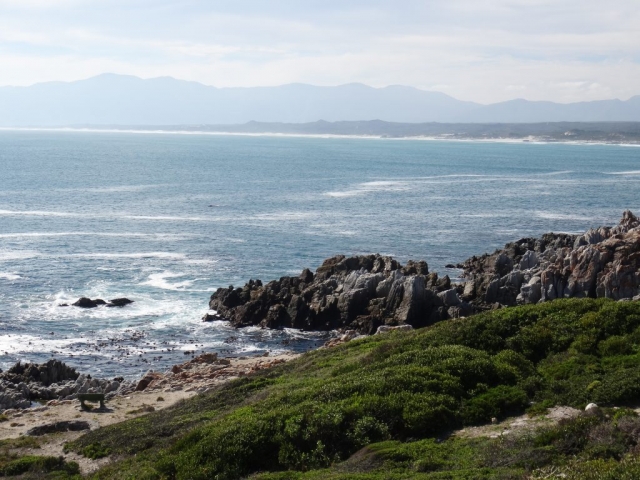 sanctuaire pour pingouins