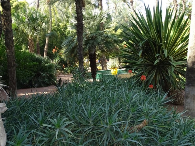 Jardin de Majorelle