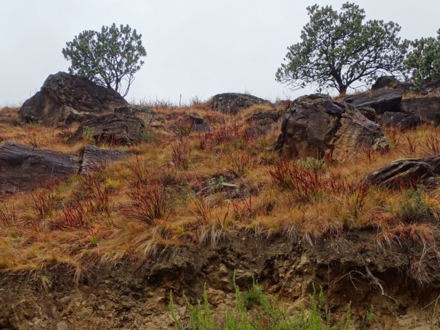 Sur la route, dans Drakensberg