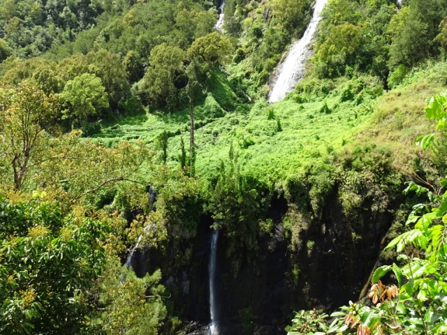 Le voile de la Mariée