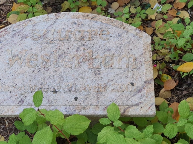 square Westerham.