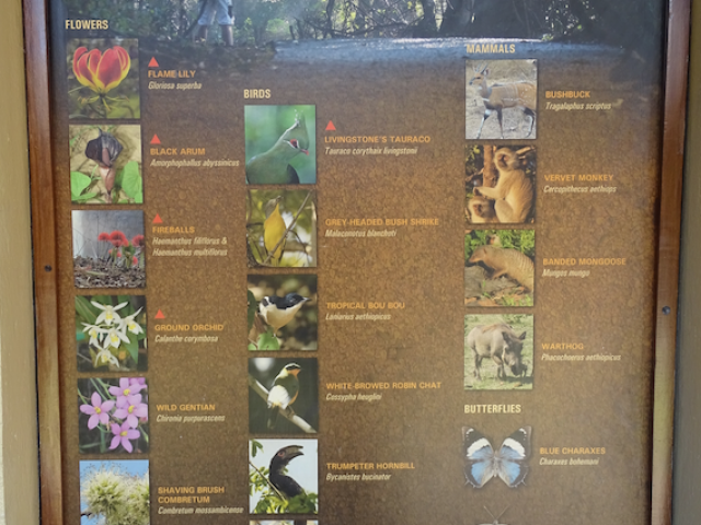 Entrée du Parc de Victoria Falls, Zimbabwe.