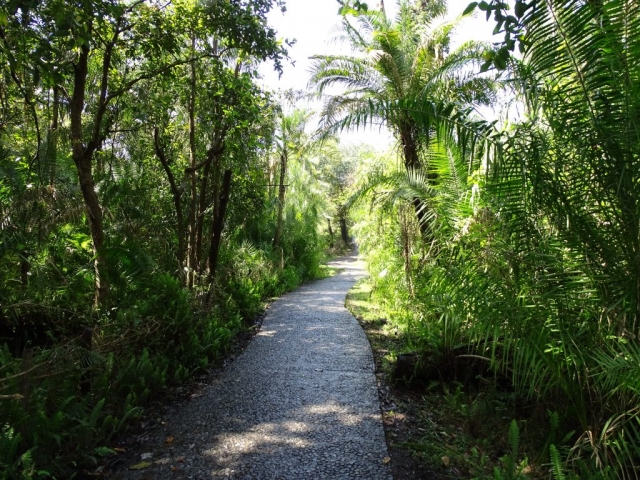 Chemin balisé Parc Victoria Falls Zimbabwe