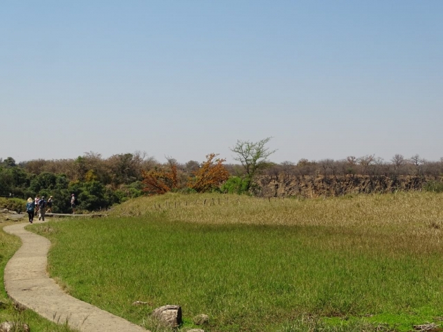 Chemin balisé Parc Victoria Falls Zimbabwe